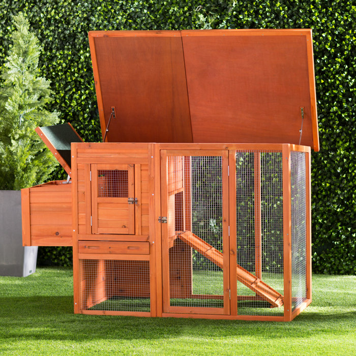 Archie & Oscar™ Freddy Chicken Coop with Chicken Run/Nesting Box